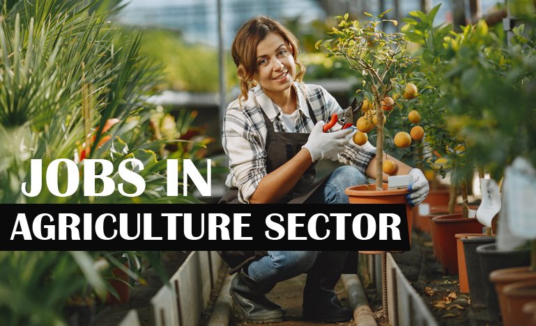 Top 7 Highest Paying Jobs in Agriculture Sector