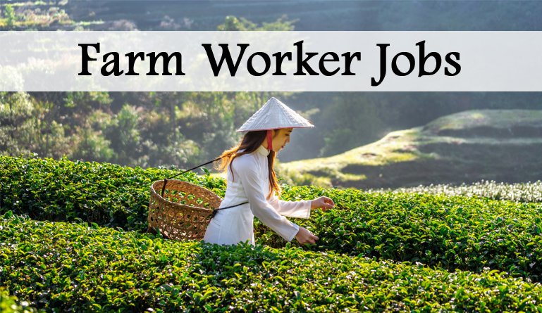 Farm Worker Jobs