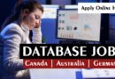 Database Analyst jobs