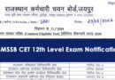 RSMSSB CET 12th Level Exam