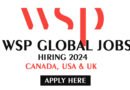 WSP Global Jobs 2024