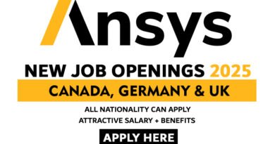 Ansys Careers 2025